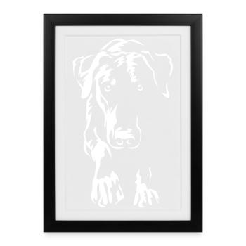Doberman « Édition Noire » - Affiche encadrée (27 × 37 cm) - noir - Devant
