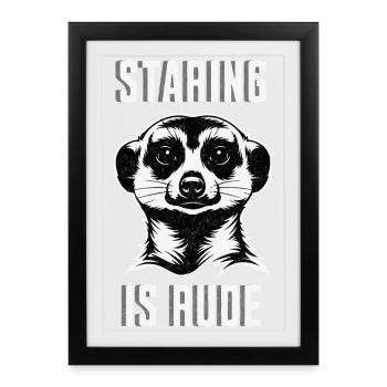 Fixer des suricates est impoli - Chemise drôle d’animal - Affiche encadrée (27 × 37 cm) - noir - Devant