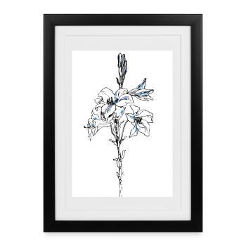 Blue lillies - Framed poster (27 × 37 cm) - black - Front