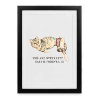 Les jambes sont surestimées pour le chat - Affiche encadrée (27 × 37 cm) - noir - Devant