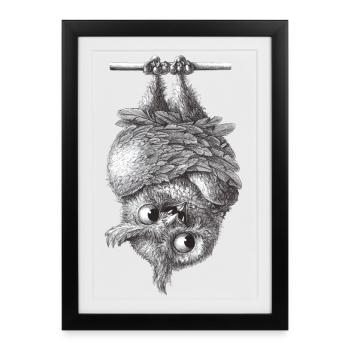Vampire Owl - Dracula Owl - Framed poster (27 × 37 cm) - black - Front