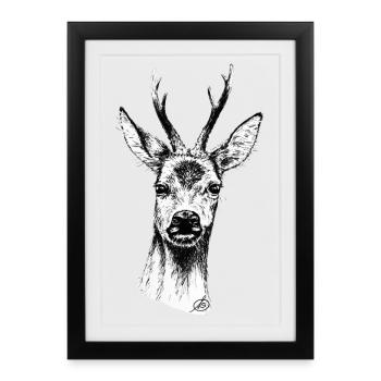 Rehbock Portrait - Gerahmtes Poster (27 × 37 cm) - Schwarz - Vorne