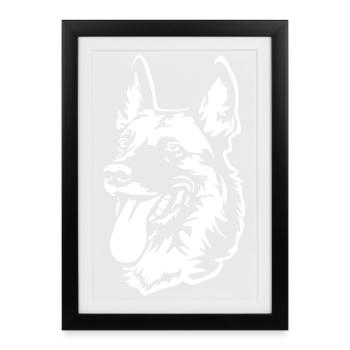 Tête de Malinois « Black Edition » - Affiche encadrée (27 × 37 cm) - noir - Devant