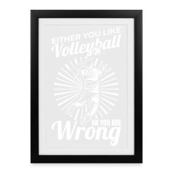 You Like Volleyball Or You Are Wrong - Framed poster (27 × 37 cm) - black - Front