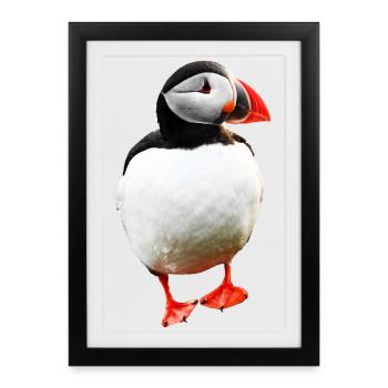 Puffin - Framed poster (27 × 37 cm) - black - Front