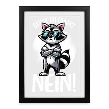 Before you ask no raccoon bad mood - Framed poster (27 × 37 cm) - black - Front