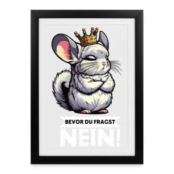 Avant que vous ne demandiez à la chinchilla, chinchilla, rongeur - Affiche encadrée (27 × 37 cm) - noir - Devant