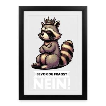 Before you ask: No, raccoon, raccoon, forest animal - Framed poster (27 × 37 cm) - black - Front