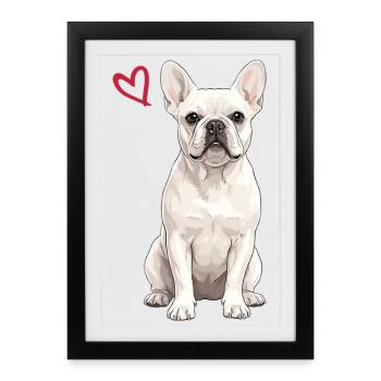 Bouledogue français blanc, Français blanc - Affiche encadrée (27 × 37 cm) - noir - Devant