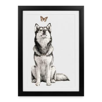 Chien Husky avec motif papillon Amoureux des chiens - Affiche encadrée (27 × 37 cm) - noir - Devant