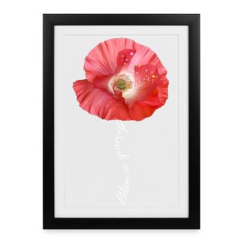Fleurs de jardin de pavot rouge - Affiche encadrée (27 × 37 cm) - noir - Devant
