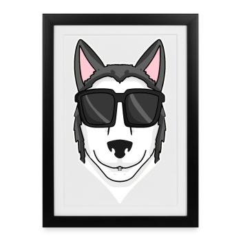 Siberian Husky Hund mit Sonnenbrille - Gerahmtes Poster (27 × 37 cm) - Schwarz - Vorne