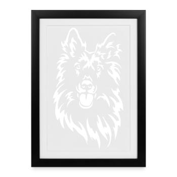 Groenendael Head « Black Edition » - Affiche encadrée (27 × 37 cm) - noir - Devant