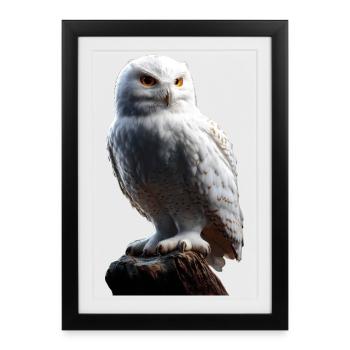 Snowy Owl White Owl Owl Owl Owl Snow Owl - Framed poster (27 × 37 cm) - black - Front