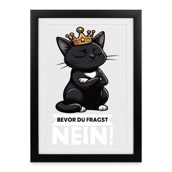 Avant que tu ne demandes Pas de chats Chats Amateur des chats - Affiche encadrée (27 × 37 cm) - noir - Devant