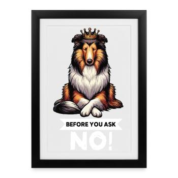 Avant de demander Collie, Collieowner Collie, Collie. - Affiche encadrée (27 × 37 cm) - noir - Devant