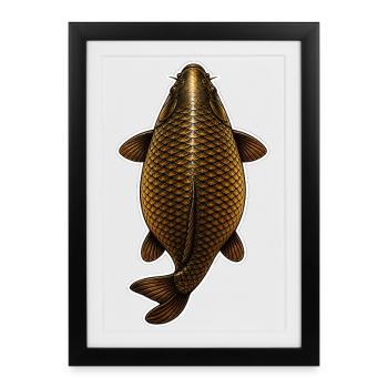 Golden Carp Top View – Clean Fishing Design - Framed poster (27 × 37 cm) - black - Front