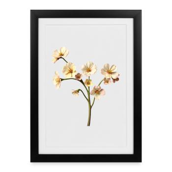 Fleurose - Affiche encadrée (27 × 37 cm) - noir - Devant