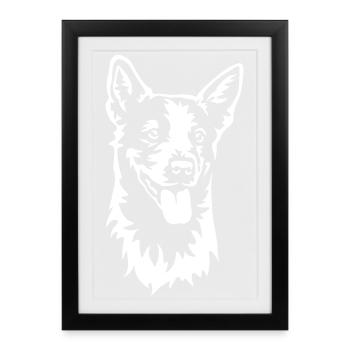 Australian Cattle Dog Head "Black Edition" - Framed poster (27 × 37 cm) - black - Front