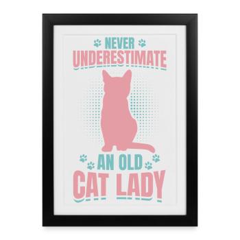 Ne sous-estimez jamais une vieille dame aux chats - Affiche encadrée (27 × 37 cm) - noir - Devant