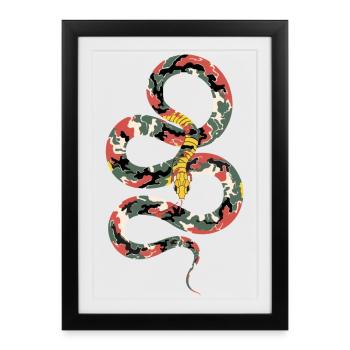 Bobines Serpent de camouflage - Affiche encadrée (27 × 37 cm) - noir - Devant