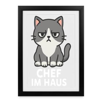 Cat with grumpy expression - Framed poster (27 × 37 cm) - black - Front