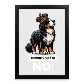 Avant de demander les chiens de montagne bernois - Affiche encadrée (27 × 37 cm) - noir - Devant