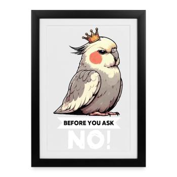 Avant que tu ne demandes, pas de calopsitte - Affiche encadrée (27 × 37 cm) - noir - Devant