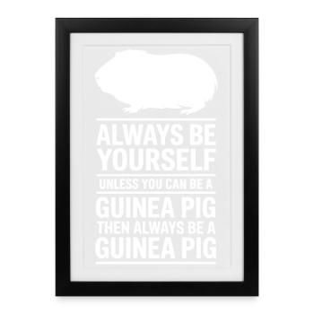 Guinea Pig Sayings Guinea Pig Gift - Framed poster (27 × 37 cm) - black - Front