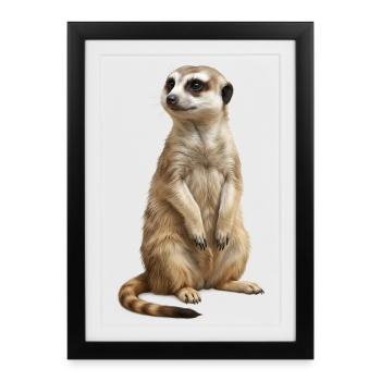 Feux d’artifice animaux suricates - Affiche encadrée (27 × 37 cm) - noir - Devant
