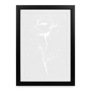 Silhouette de rose blanche sur fond noir - Affiche encadrée (27 × 37 cm) - noir - Devant