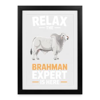 Brahman Cattle Cows Gifts - Framed poster (27 × 37 cm) - black - Front