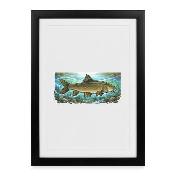 Barbel Fishing Fishing - Framed poster (27 × 37 cm) - black - Front