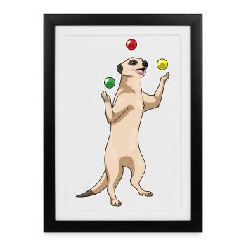 Meerkat juggler juggling - Framed poster (27 × 37 cm) - black - Front