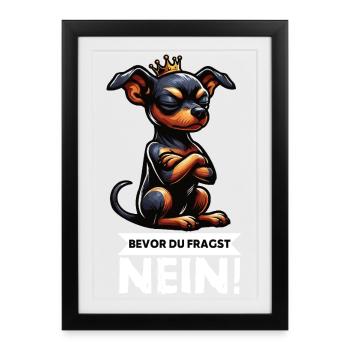 Avant de demander à Miniature Pinscher Pinscher Pinscher Fan - Affiche encadrée (27 × 37 cm) - noir - Devant