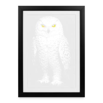 Snowy owl - Framed poster (27 × 37 cm) - black - Front
