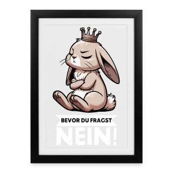 Avant que vous ne demandiez : non, lapin, lapin, lapin, lapin - Affiche encadrée (27 × 37 cm) - noir - Devant