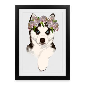 Husky avec couronne de fleurs - Affiche encadrée (27 × 37 cm) - noir - Devant
