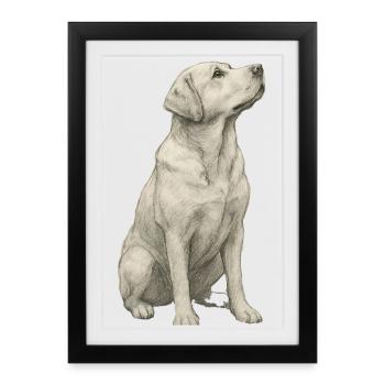 Cadeau de labrador pour propriétaires et fans de chiens - Affiche encadrée (27 × 37 cm) - noir - Devant