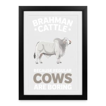 Brahman Cattle Cows Gifts - Framed poster (27 × 37 cm) - black - Front