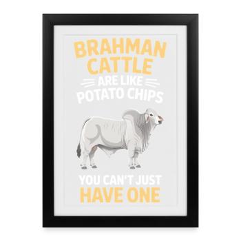 Don des vaches Brahman - Affiche encadrée (27 × 37 cm) - noir - Devant