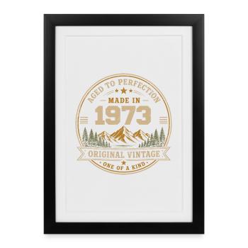 1973 Retro 1973 Vintage 1973 Gift 1973 - Framed poster (27 × 37 cm) - black - Front