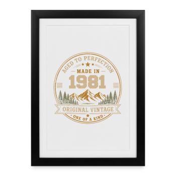1981 Rétro 1981 Vintage 1981 Cadeau 1981 - Affiche encadrée (27 × 37 cm) - noir - Devant