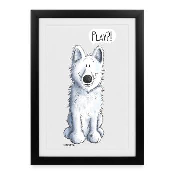 Playing White Shepherd - Chien - Chiens - Affiche encadrée (27 × 37 cm) - noir - Devant