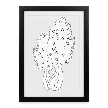MORILLES - Affiche encadrée (27 × 37 cm) - noir - Devant