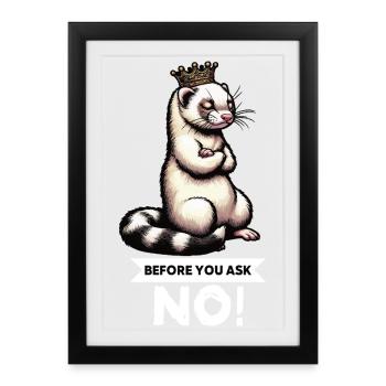 Avant de demander à Ferret Furet Propriétaire de Furet Rodent - Affiche encadrée (27 × 37 cm) - noir - Devant