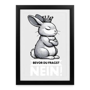Avant que vous ne demandiez : non, lapin, lapin, lapin, lapin - Affiche encadrée (27 × 37 cm) - noir - Devant