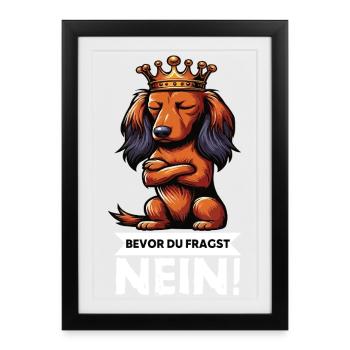 Bevor Du Fragst Nein Langhaardackel Dackel Teckel - Gerahmtes Poster (27 × 37 cm) - Schwarz - Vorne