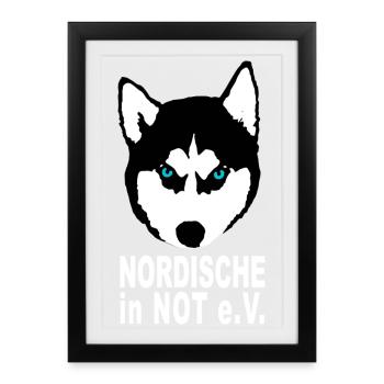 Husky Nordische in Not - Gerahmtes Poster (27 × 37 cm) - Schwarz - Vorne