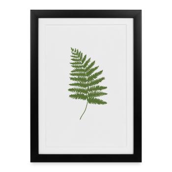 Pensez Green Fern Nature - Affiche encadrée (27 × 37 cm) - noir - Devant